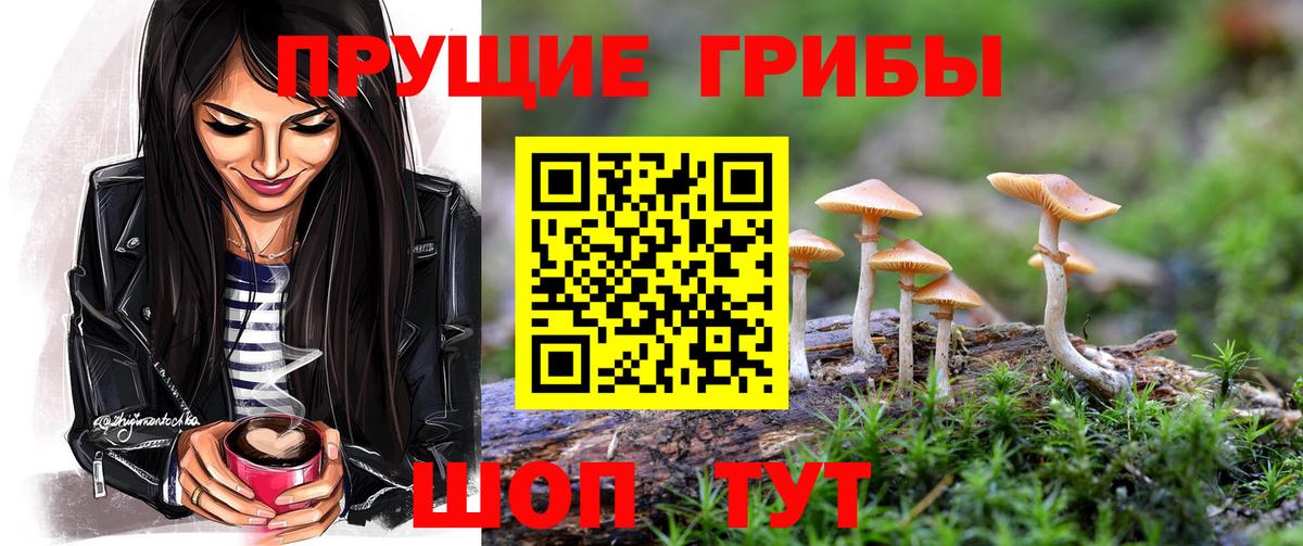 Домодедово  Галлюциногенные грибы мицелий  Вход с VPN  Псилоцибиновые грибы мицелий 
